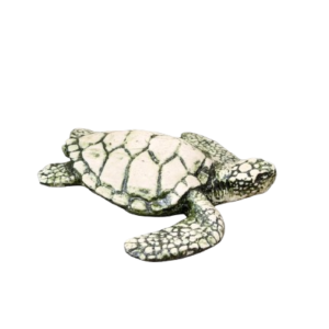 Wooden Tortoise Paper Holder