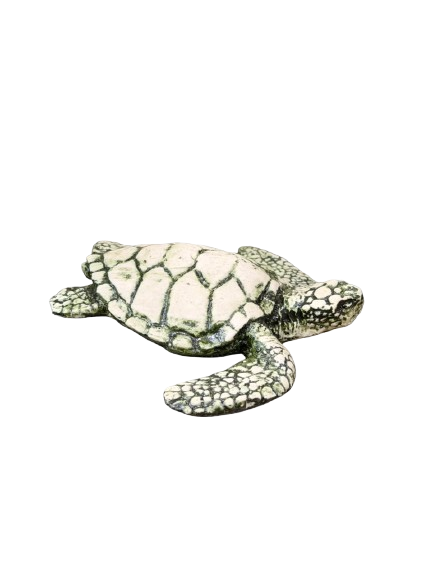 Wooden Tortoise Paper Holder