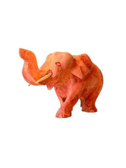Uncarved Jungle Elephant